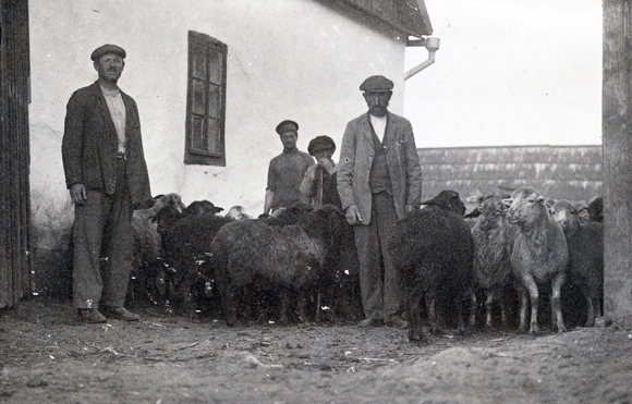 At war's end, Bessarabia became part of Romania. The number of Jewish farmers there was second only to Palestine. JDC helped support agricultural colonies administered through the Jewish Colonization Association. Sheep grazed peacefully at the Jewish Colony of Menzia (Manzia). Romania (now Moldova), c. 1920, <em>NY_00948</em>.
