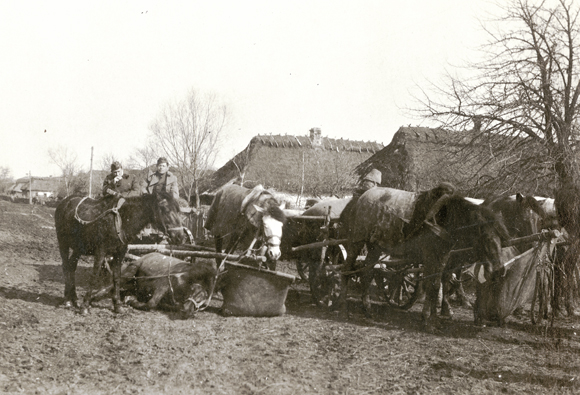 When no other means of transportation was available, JDC representatives made do with horse-drawn wagons. On this trip between Dubno and Rovno, one horse collapsed from exhaustion. Poland (now Ukraine), c. 1921, <em>NY_01705</em>.
