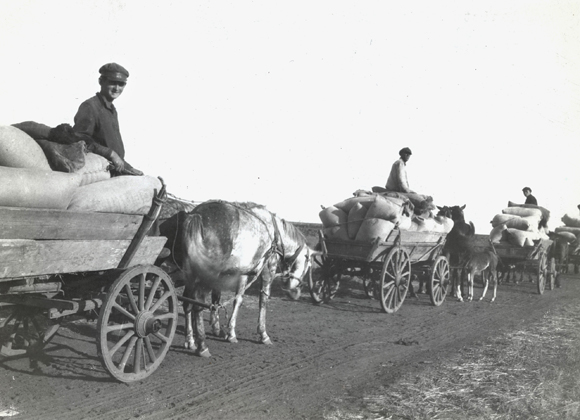 Stalin used Ukrainian grain to finance the rapid development of industry in the Soviet Union for several years, beginning in 1929. Forced to sell increasing portions of their crops to the government at fixed, low prices, collective farmers could not feed their own families until they met government quotas. Millions starved in the resulting famine of 1932-1933. Through Agro-Joint, Jewish crops from the Crimea provided some relief to colonists in the Ukraine. Like all Ukrainian farmers, colonists from Chemerinsk bringing grain to the nearest Krivoy Rog government collecting station had no idea what was coming. Ukraine, c. 1929, <em>NY_00655</em>.