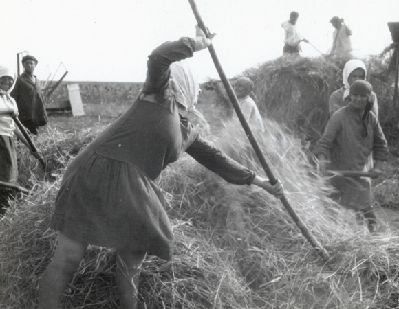 Trained in farming techniques like wheat threshing, men and women alike became capable farmers.  A period caption read, Women work alongside of the men everywhere and sometimes harder than the men.  Crimea, c. 1930, <em>NY_00878</em>.
