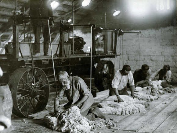 With electrification of the colonies, farm machinery, light, and radio became accessible. Agro-Joint funded new power lines and stations for colonies. Outdoor field work utilized modern equipment and indoor work was no longer dependent on daylight. In the Jankoy District's Zavety Lenina (Commandments of Lenin) commune, sheep sheering was one of many activities improved by electricity. Crimea, early 1930's, <em>NY_42886 (from YIVO)</em>. 