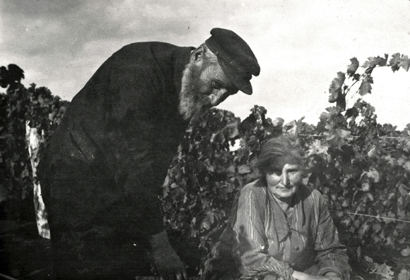 Depending on local conditions, new crops and animals were introduced. In the Odessa region, vegetables were grown; in Eupatoria, dairy cows and chickens were brought in and milk, cheese, and egg production taught. In Crimea's steppes and sandy wastes, colonists were taught how to cultivate orchards and vineyards. Individual families were allowed to grow their own. These developments helped settlers raise their income significantly. An elderly couple in the Poltavtsy Colony examined their grape vines. Ukraine, late 1920's, <em>NY_43380 (from YIVO)</em>.