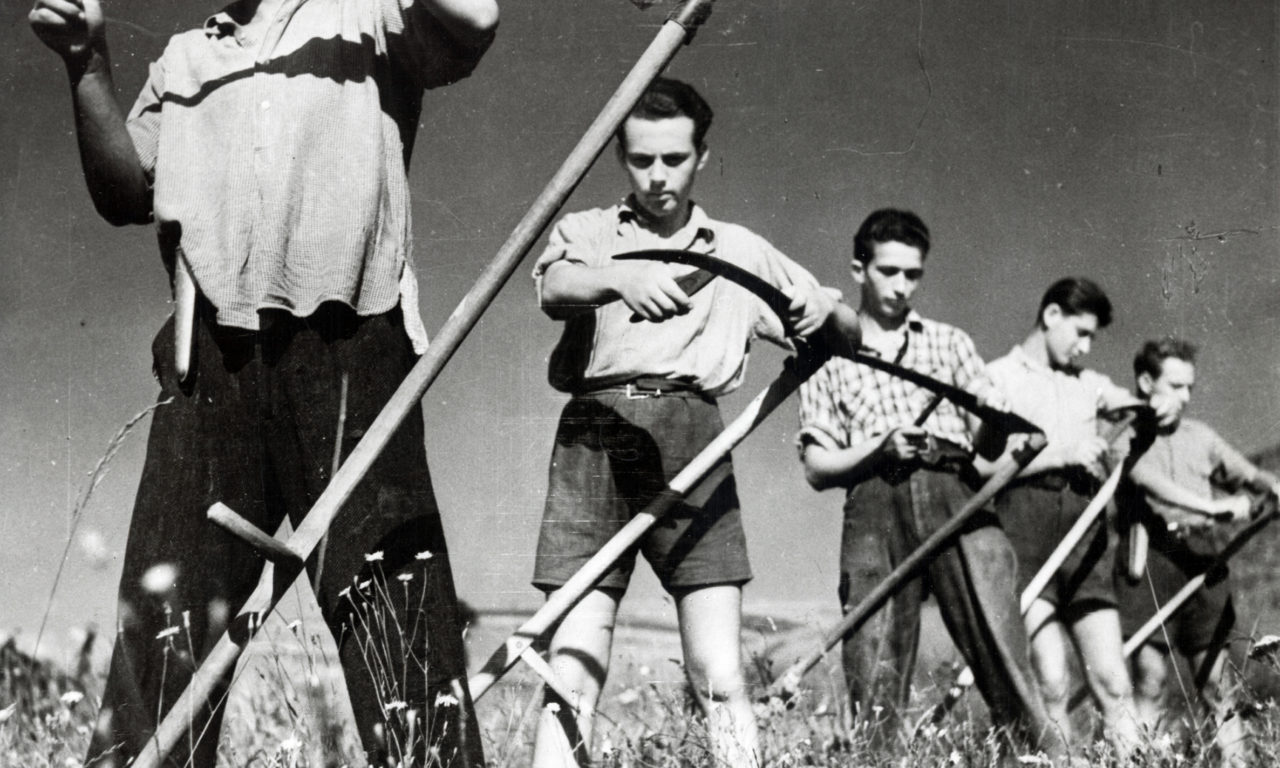 Hungary: Post-War Assistance in the Provinces