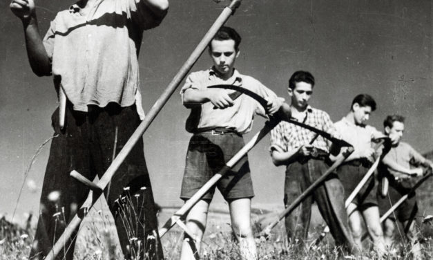 Hungary: Post-War Assistance in the Provinces